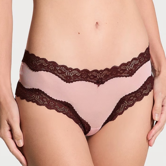 Victoria's Secret Tease Mesh Lace-Trim Cheeky Panty Chalk Rose Large NEW - Picture 1 of 3
